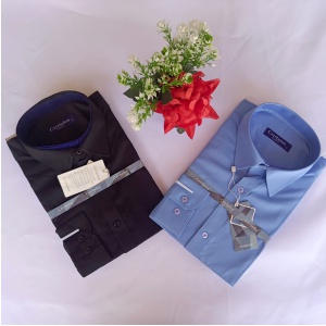 Polo Long Sleeve Shirt – Classic Style, Comfortable Fit, and Versatile Design