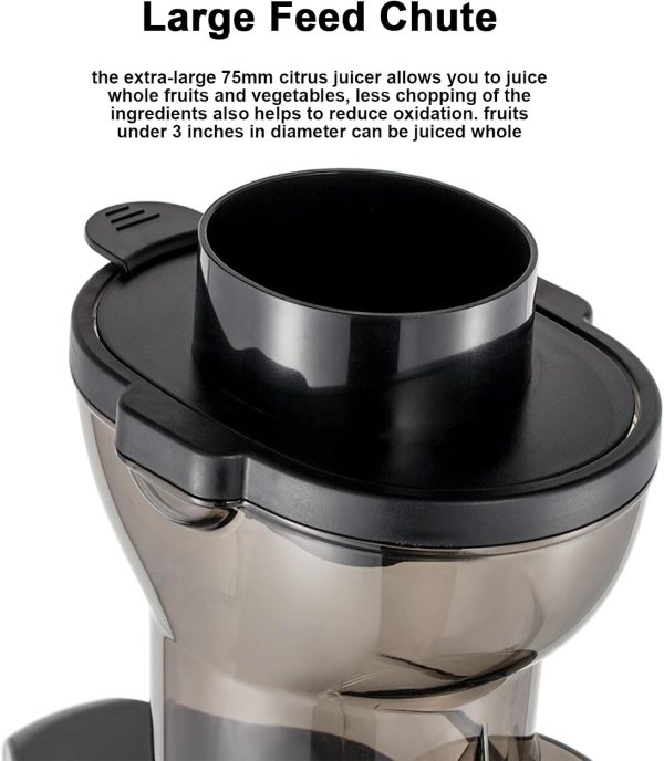 150W Cold Press Juicer Machine - Image 6