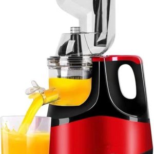 Hoffman Slow Masticating Juicer Extractor