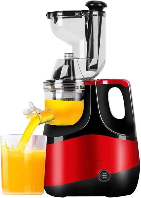 Hoffman Slow Masticating Juicer Extractor