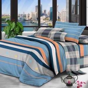 Two (2) Queen size bedsheets with 2 pillows  cases